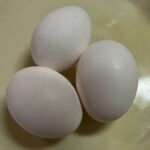 卵３個を撮影した写真
