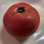 トマト１個を撮影した写真